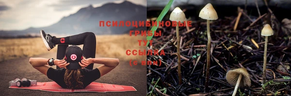 гашиш Богородицк